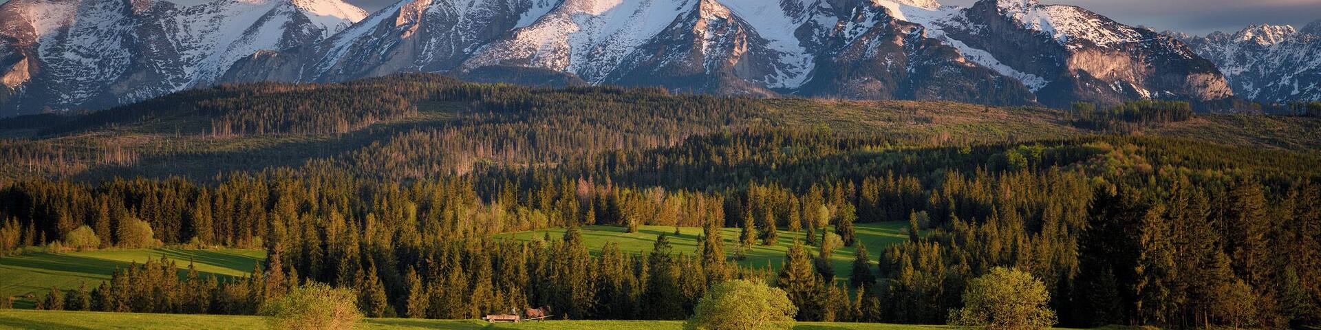 A mountainous landscape with snow-capped peaks, a forested valley, and a green field.