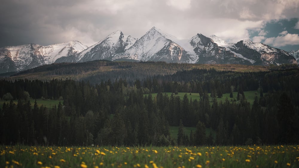 Pieniny national park
Fairytail-like view from Pieniny national park with High Tatras at distance. To see this view just visit small polish village Lapszanka.
#nature