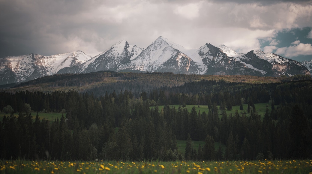 Pieniny national park
Fairytail-like view from Pieniny national park with High Tatras at distance. To see this view just visit small polish village Lapszanka.
#nature