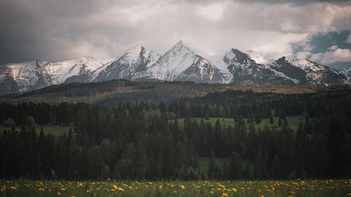 Pieniny national park
Fairytail-like view from Pieniny national park with High Tatras at distance. To see this view just visit small polish village Lapszanka.
#nature