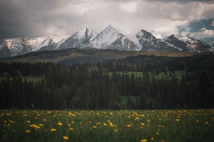 Pieniny national park
Fairytail-like view from Pieniny national park with High Tatras at distance. To see this view just visit small polish village Lapszanka.
#nature