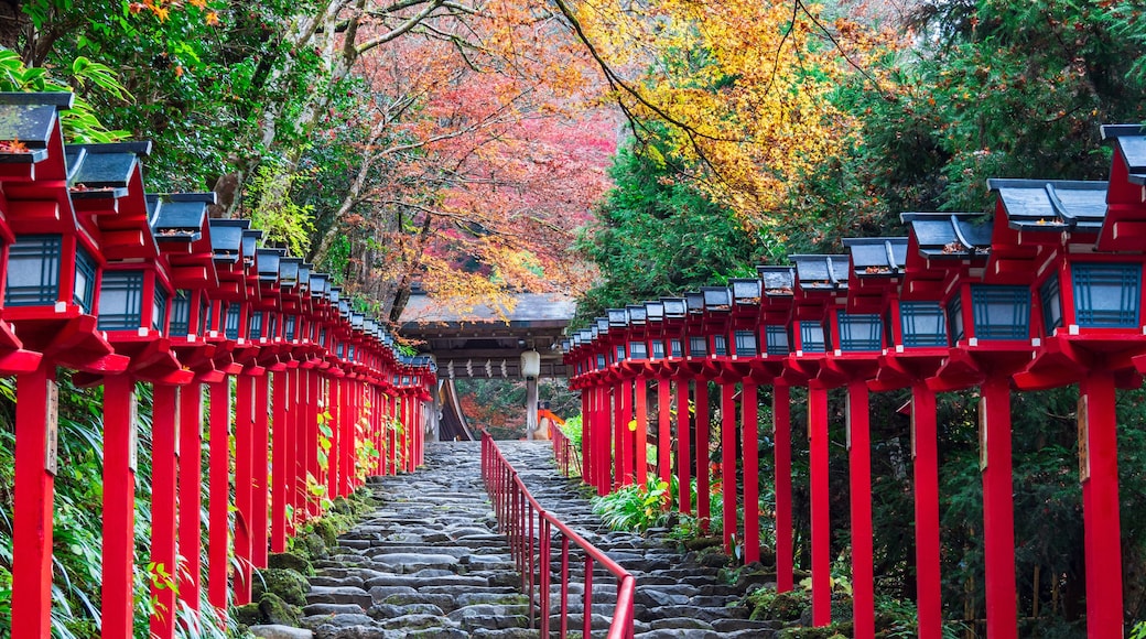 秋の京都 貴船神社