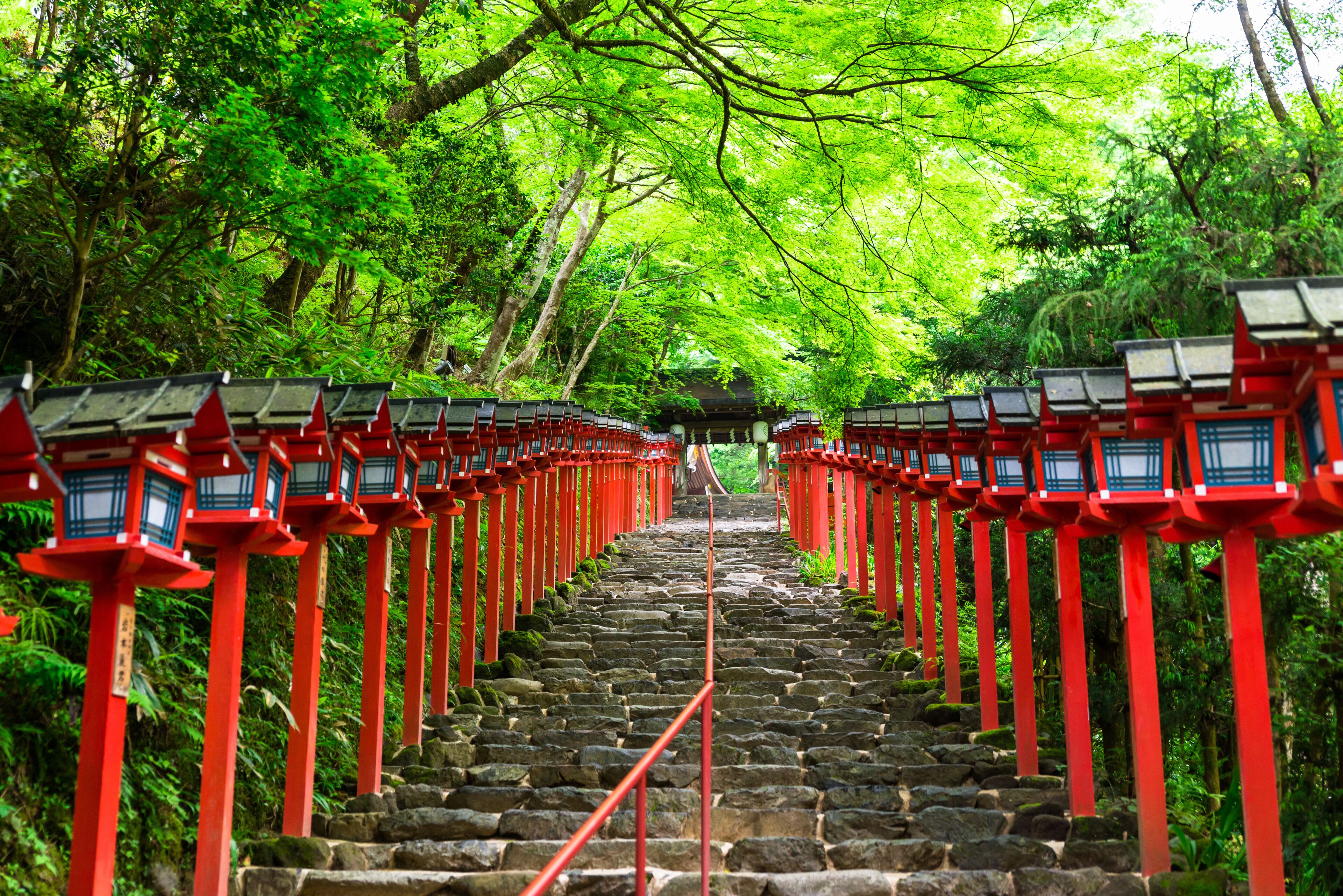 京都　新緑の貴船神社