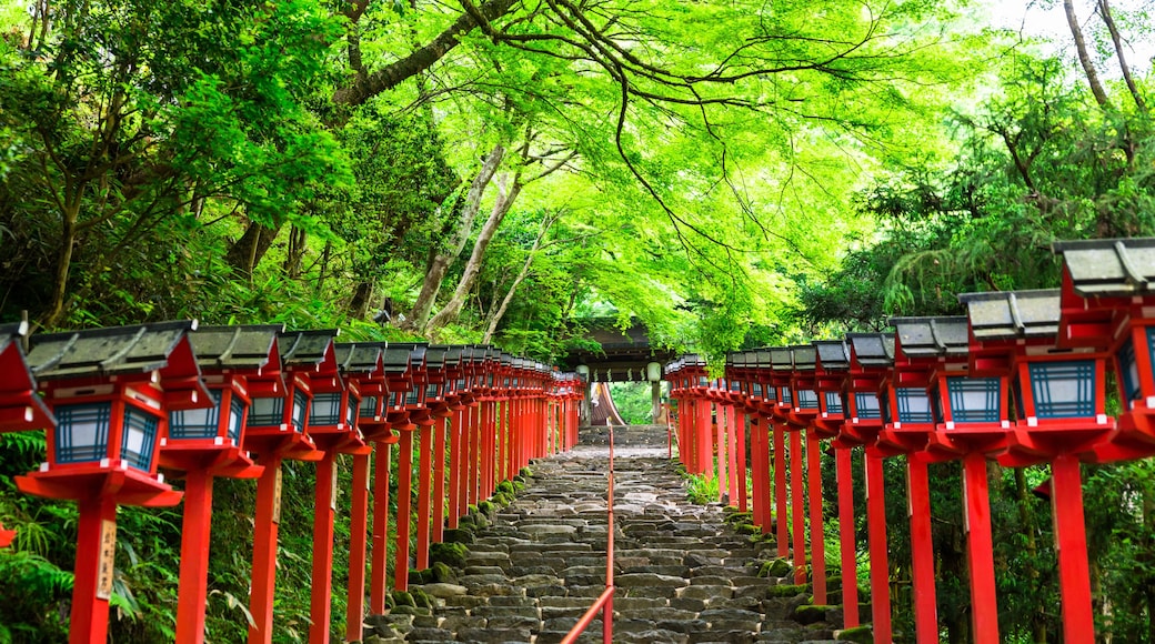 京都 新緑の貴船神社