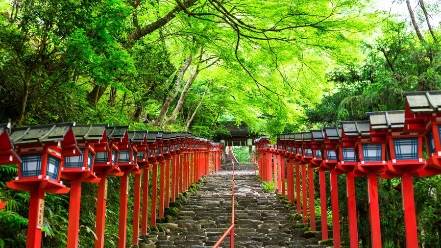 京都 新緑の貴船神社