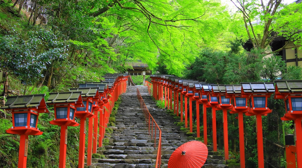 Kifune shrine(貴船神社)