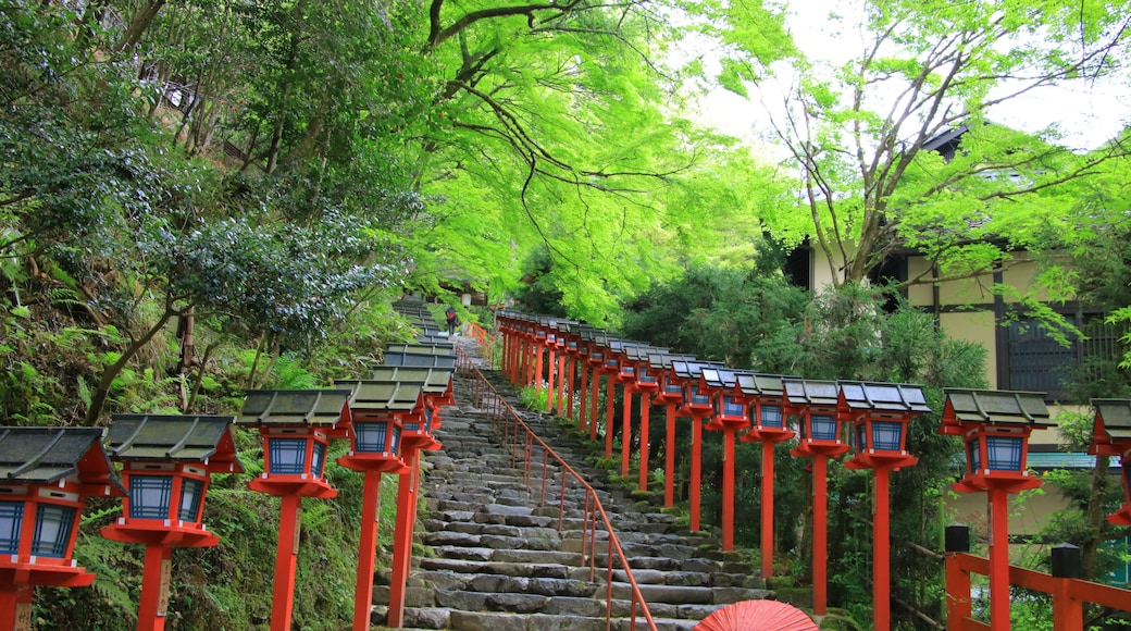 Kifune shrine(貴船神社)