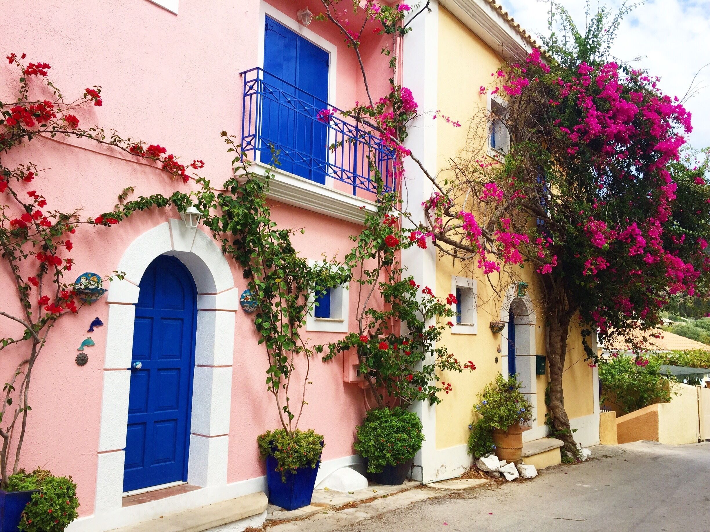 In love with the colours of this beautiful town. #greece #greek #island #building #colours #flowers #explore