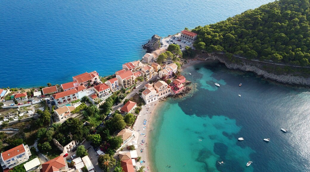 Assos