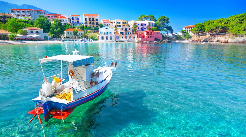 Assos