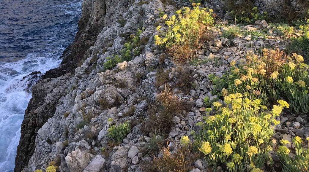 View along the coast road from Assos 😎