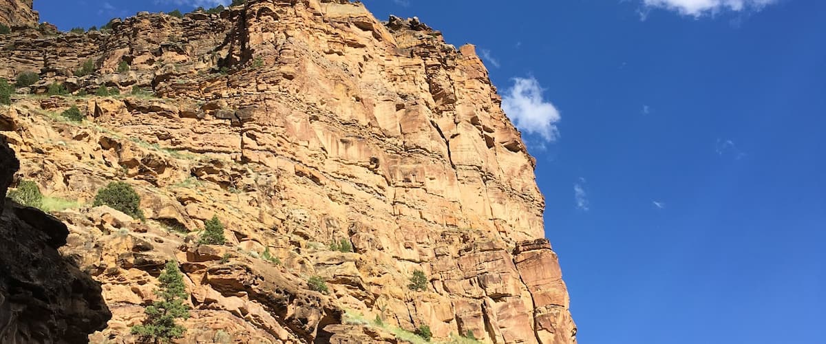 A rugged cliff with layered rock formations and sparse vegetation under a clear blue sky.