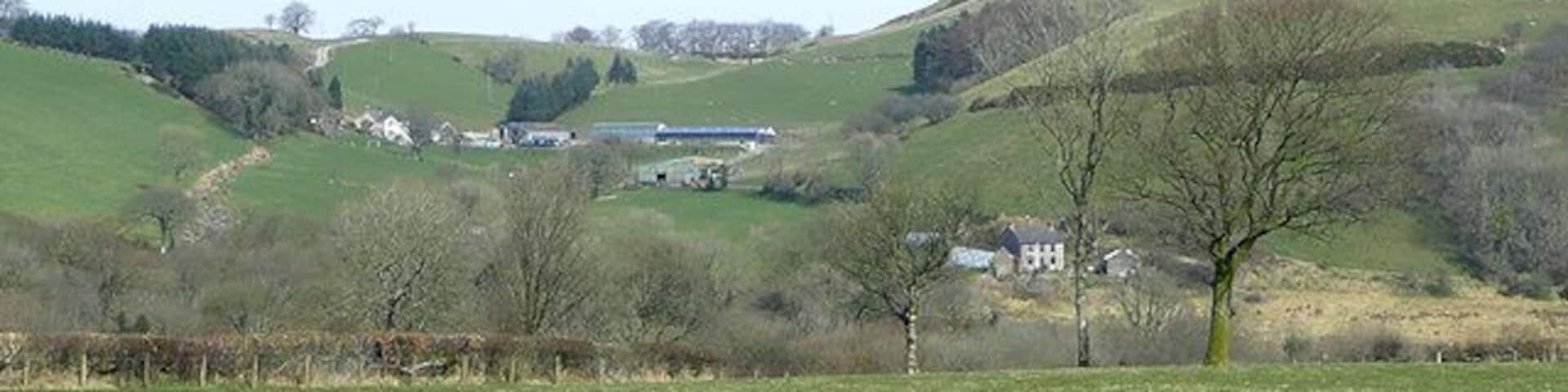 Rolling hills, a farmhouse, and a tree in a rural landscape.