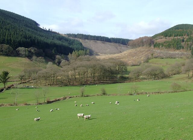 A green field with sheep grazing, surrounded by hills and trees.