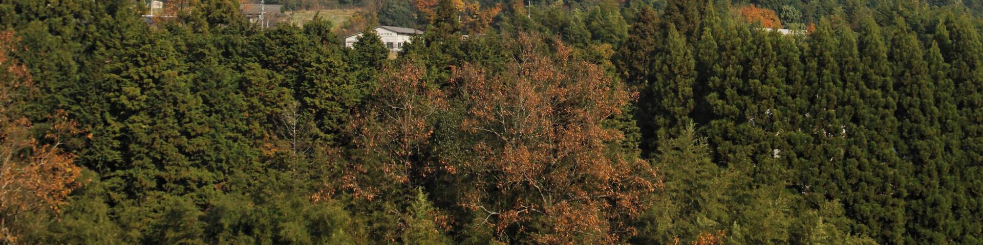 Kyoto to Amanohashidate