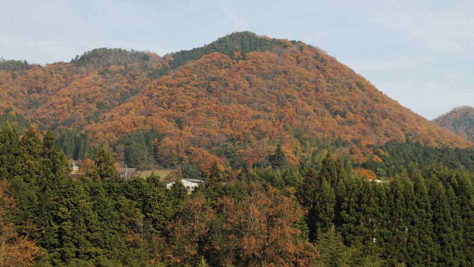 A mountain with autumn foliage, dense forest, and a small house in the valley.