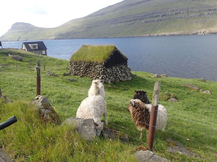 Lovely peaceful place with amazing scenery. Like going back in time. Very friendly staff in the tourist information.