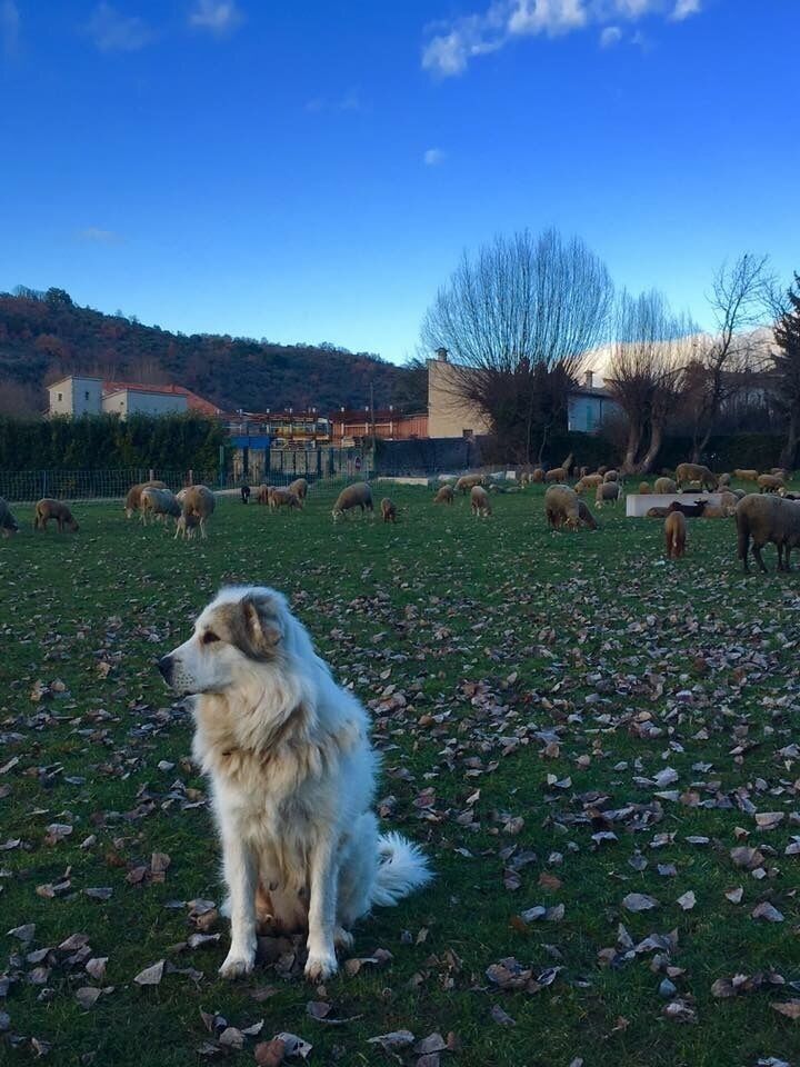 Small village where you can explore by foot