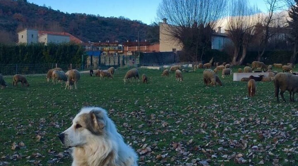 Small village where you can explore by foot