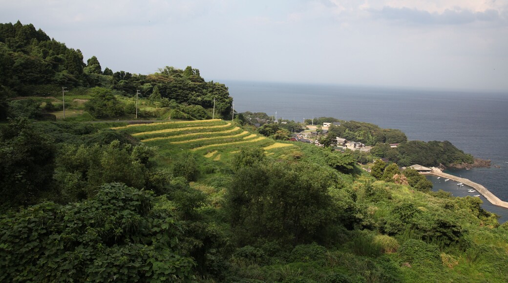 Nii no Senmaida(Rice Terraces at Nii, Ine-town, Kyoto prefecture)