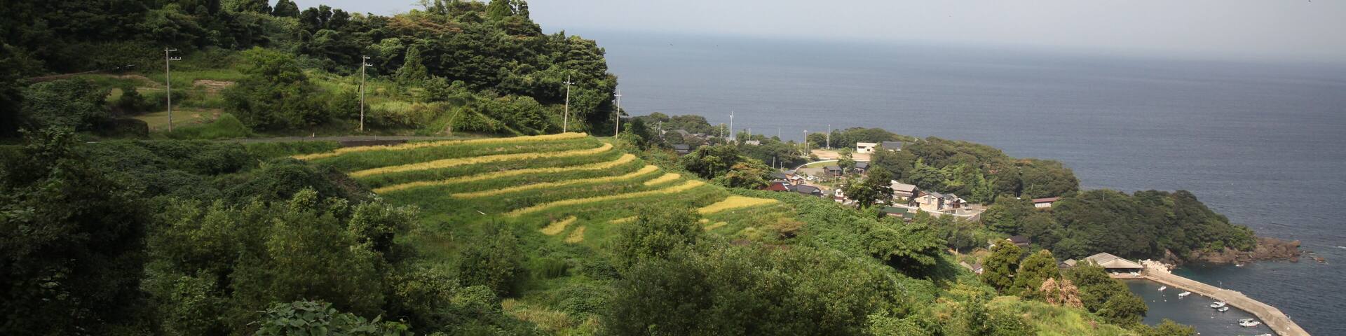 Nii no Senmaida(Rice Terraces at Nii, Ine-town, Kyoto prefecture)