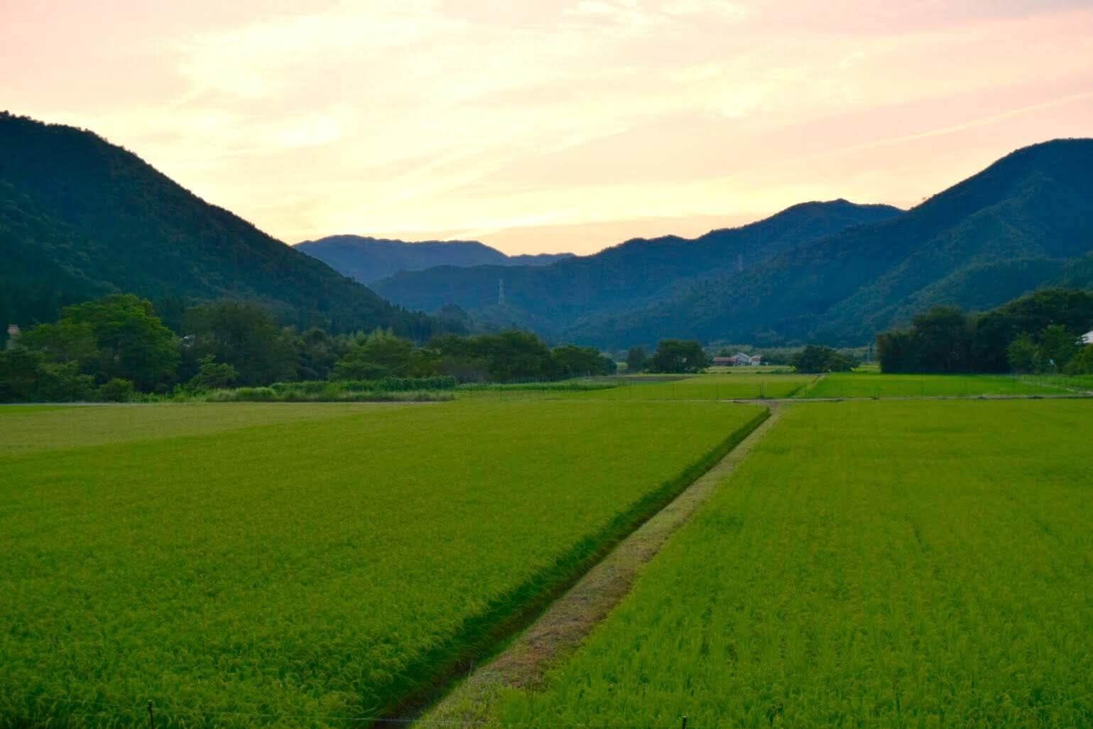 people rarely comes around this area...
#lifeatexpediagroup