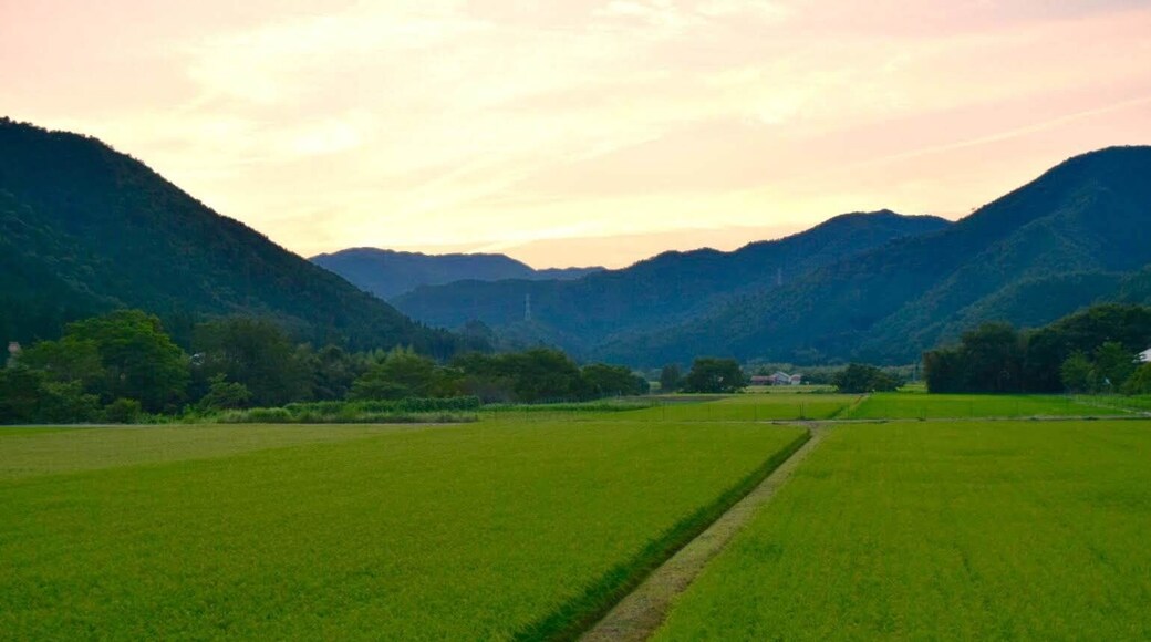 people rarely comes around this area...
#lifeatexpediagroup