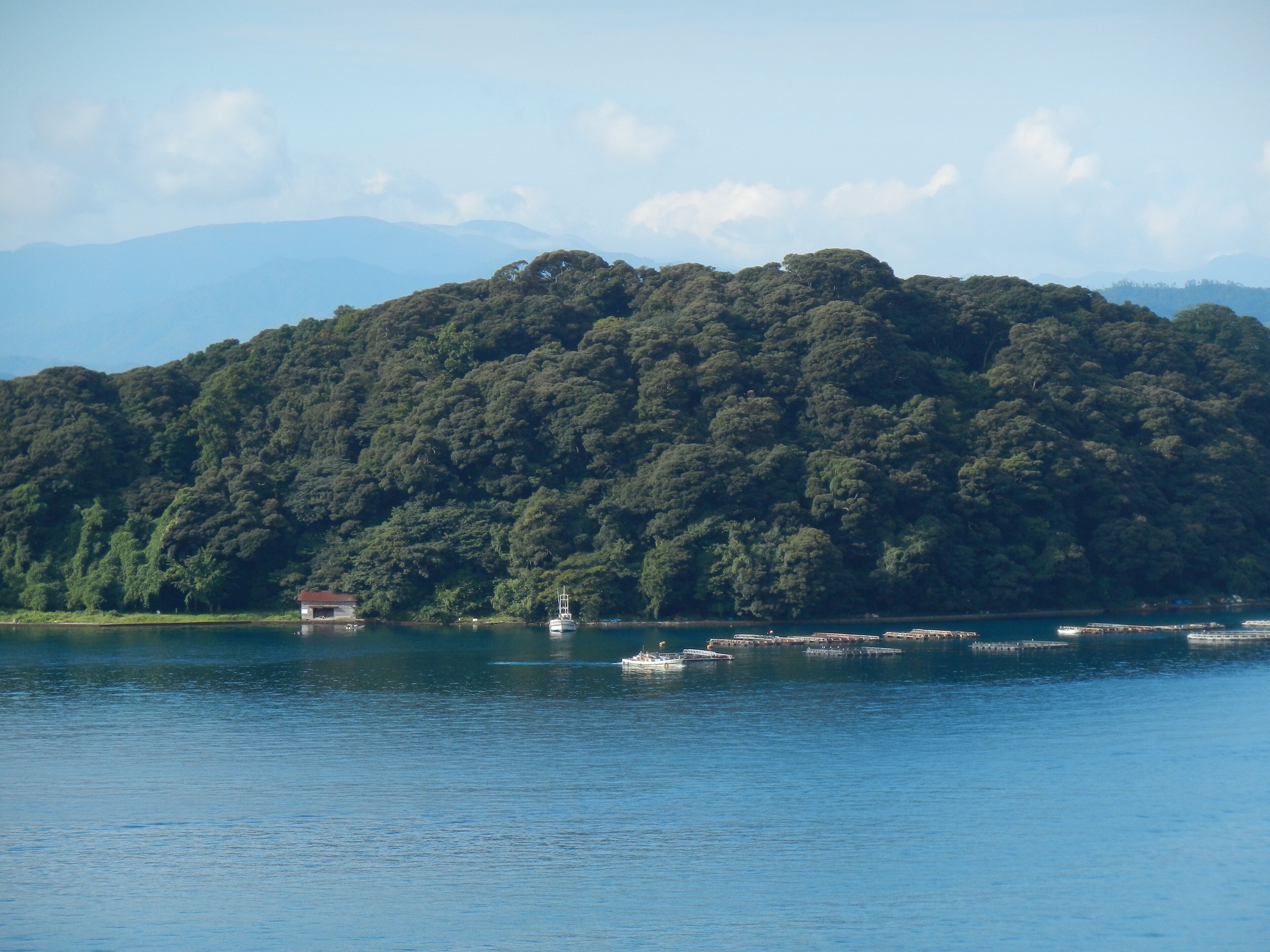 Kameshima, Ine, Yosa District, Kyoto Prefecture 626-0424, Japan