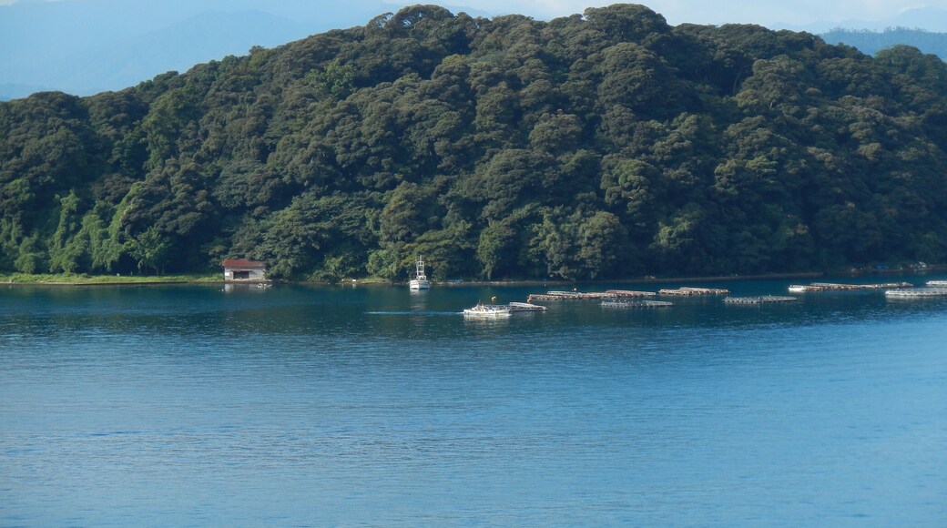 Kameshima, Ine, Yosa District, Kyoto Prefecture 626-0424, Japan