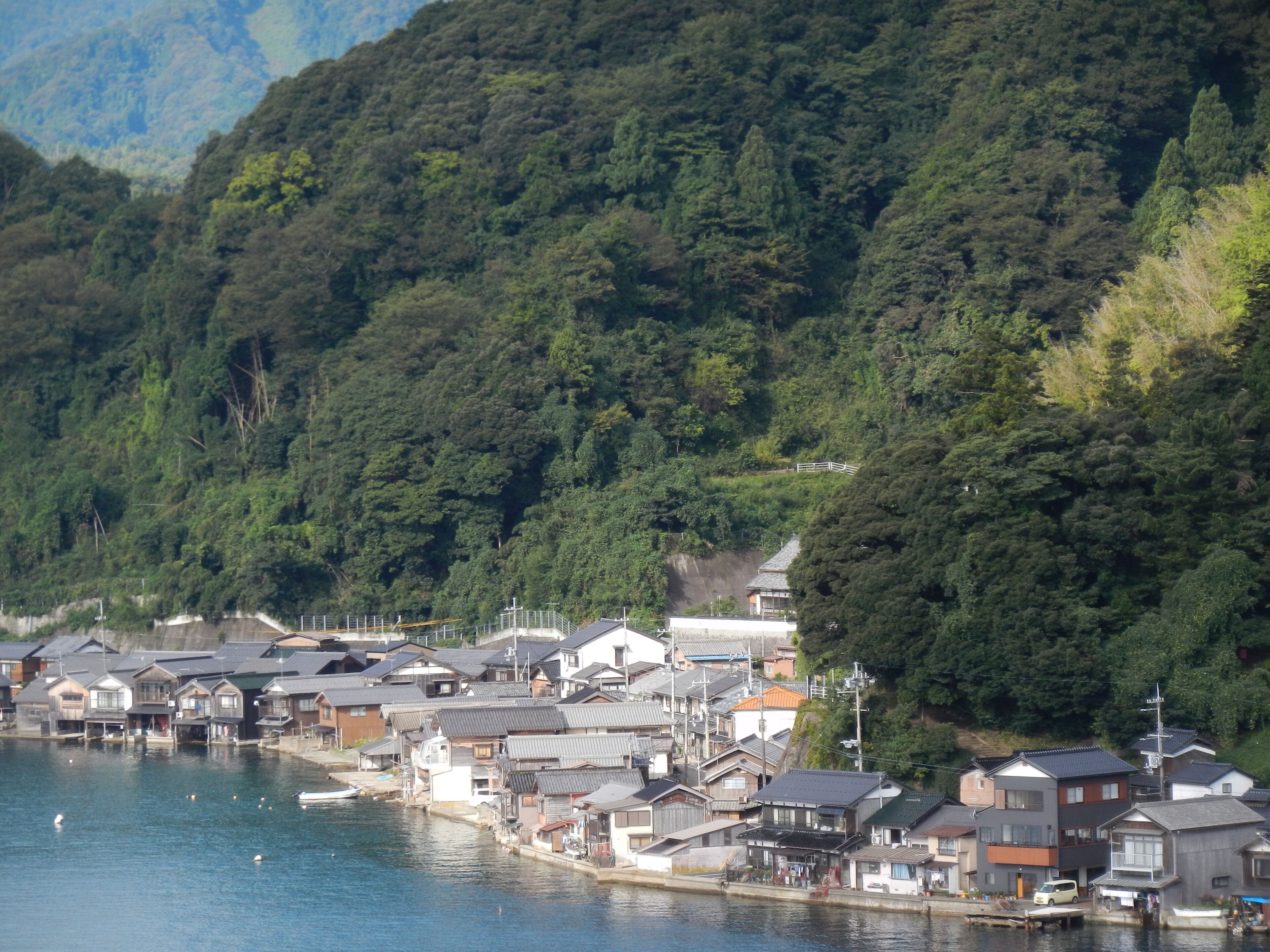 A coastal village with traditional houses by the water, surrounded by dense forest and mountains.