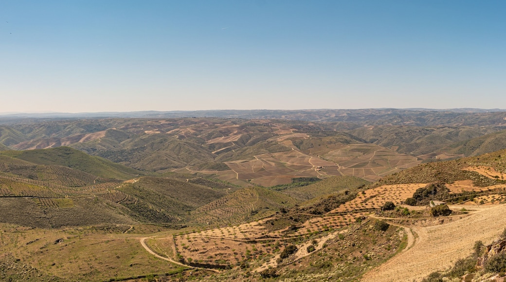维拉诺瓦德法斯科亚