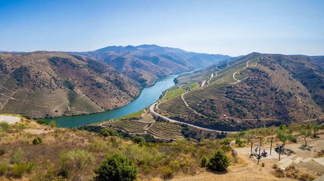 维拉诺瓦德法斯科亚