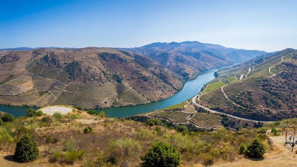 Aerial shot of vineyards and Douro River near Vila Nova de Foz Coa, Portugal