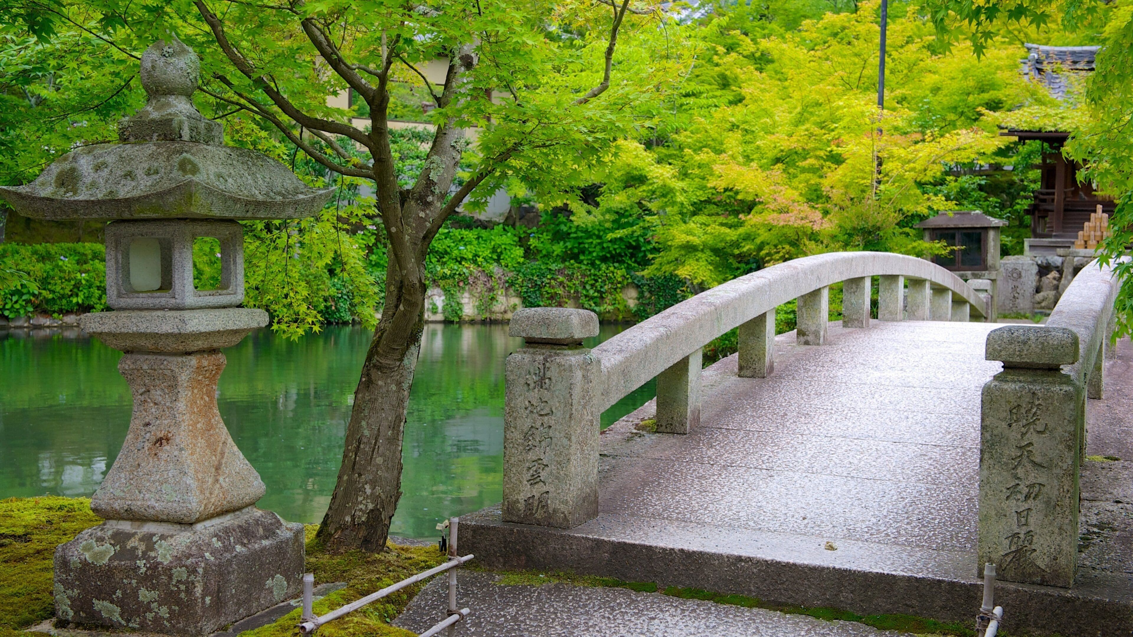 Templo de Eikando ofreciendo un puente, un jardín y un templo o lugar de culto