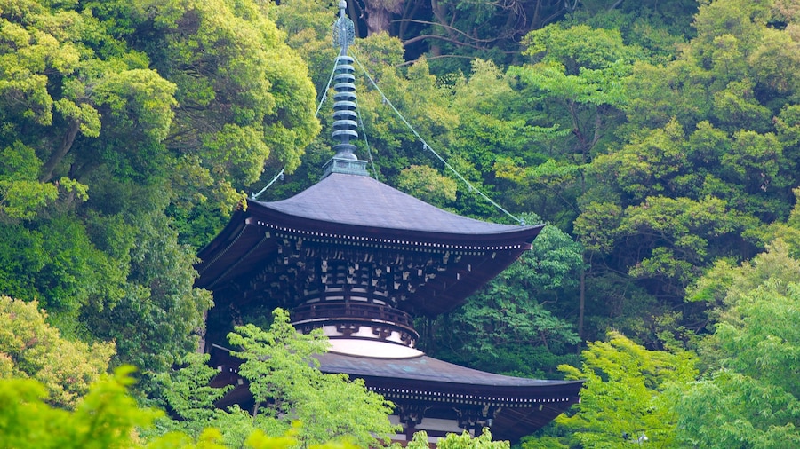 Eikando-Tempel welches beinhaltet Wälder, historische Architektur und religiöse Elemente