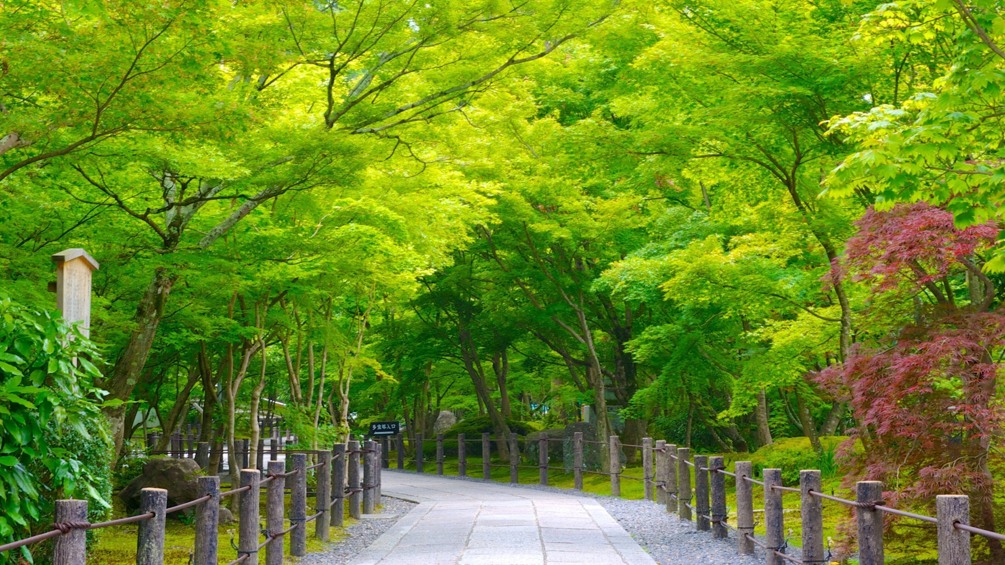 Tempio di Eikando caratteristiche di parco