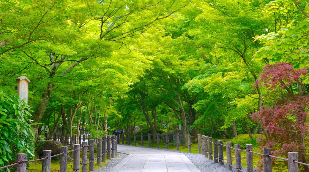 Tempio di Eikando caratteristiche di parco