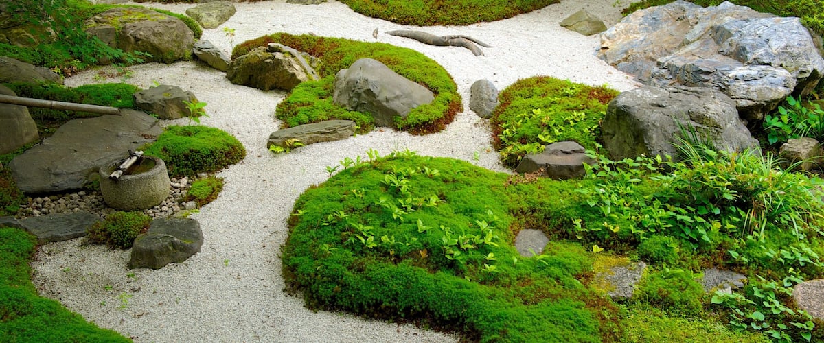 Eikando Temple which includes a garden, a temple or place of worship and religious elements