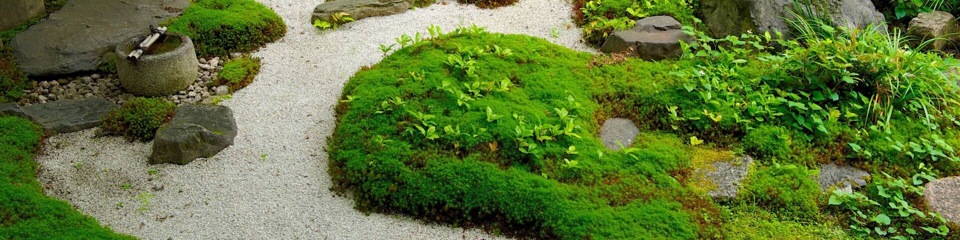 Eikando Temple featuring religious elements, a garden and a temple or place of worship