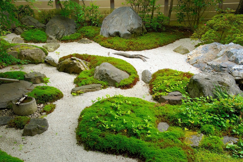 A garden with rocks, moss, and greenery.