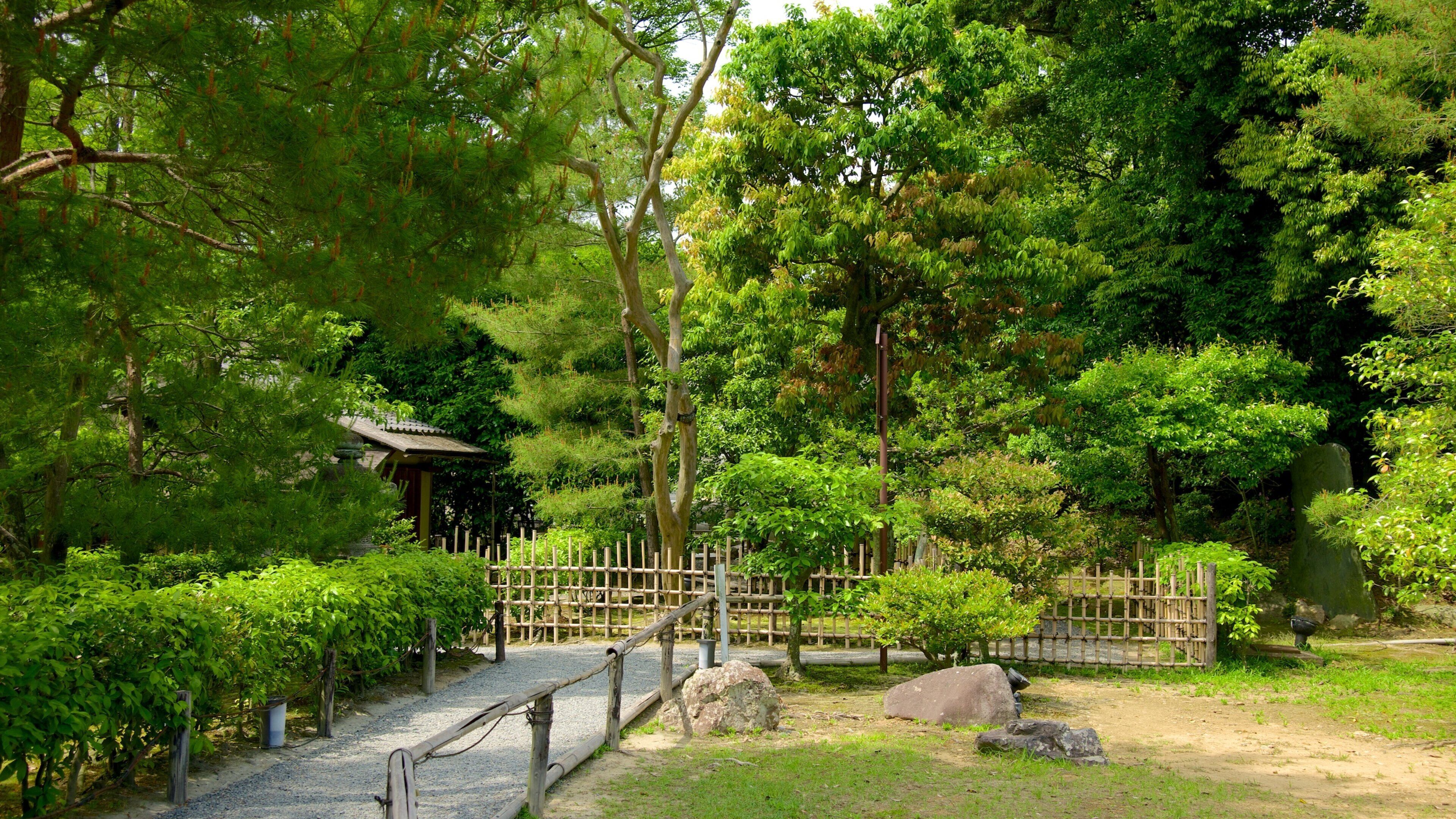 Kodaiji Temple featuring forest scenes and a park