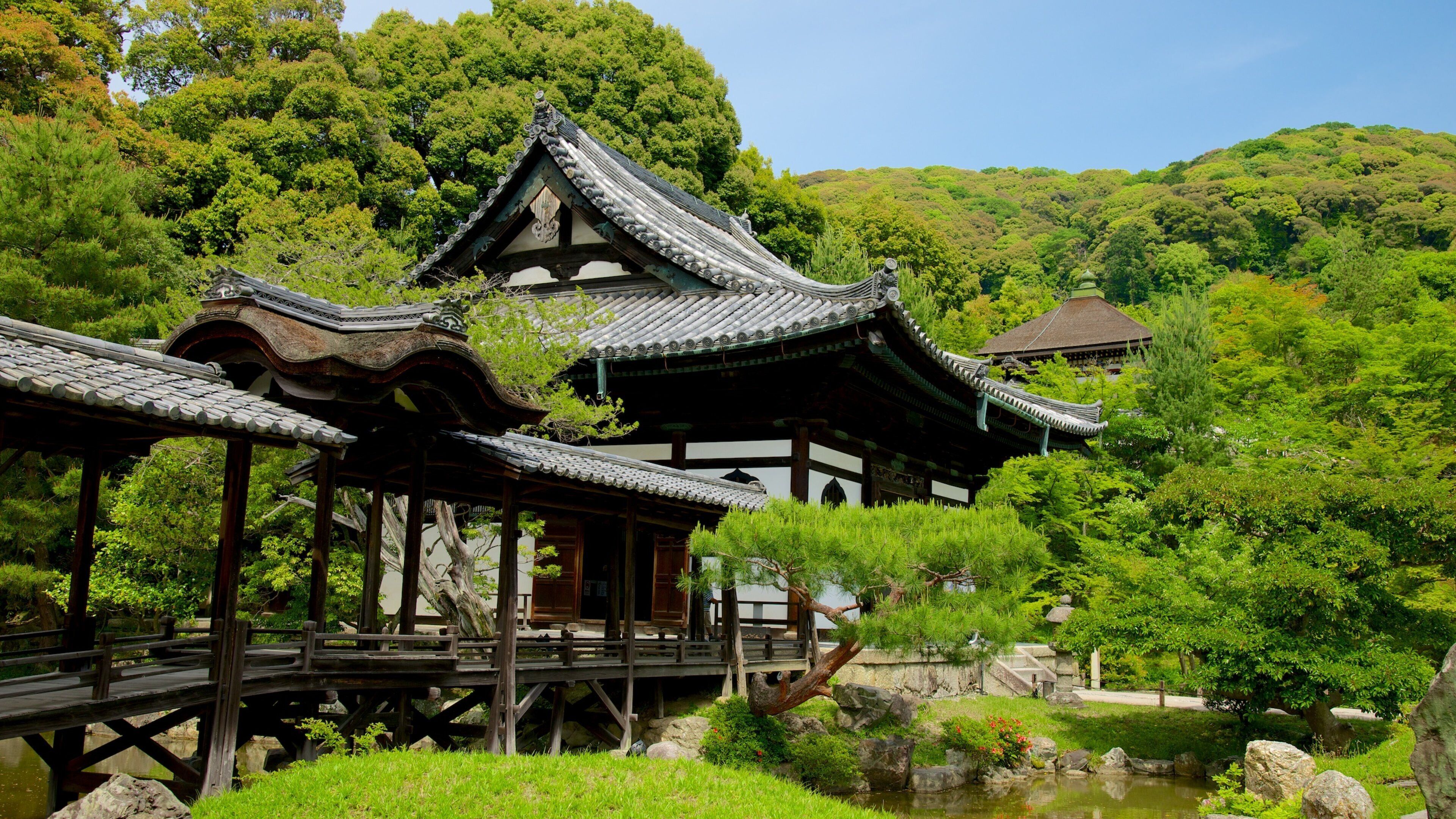 Tempio di Kodaiji mostrando tempio o luogo di culto e elementi religiosi