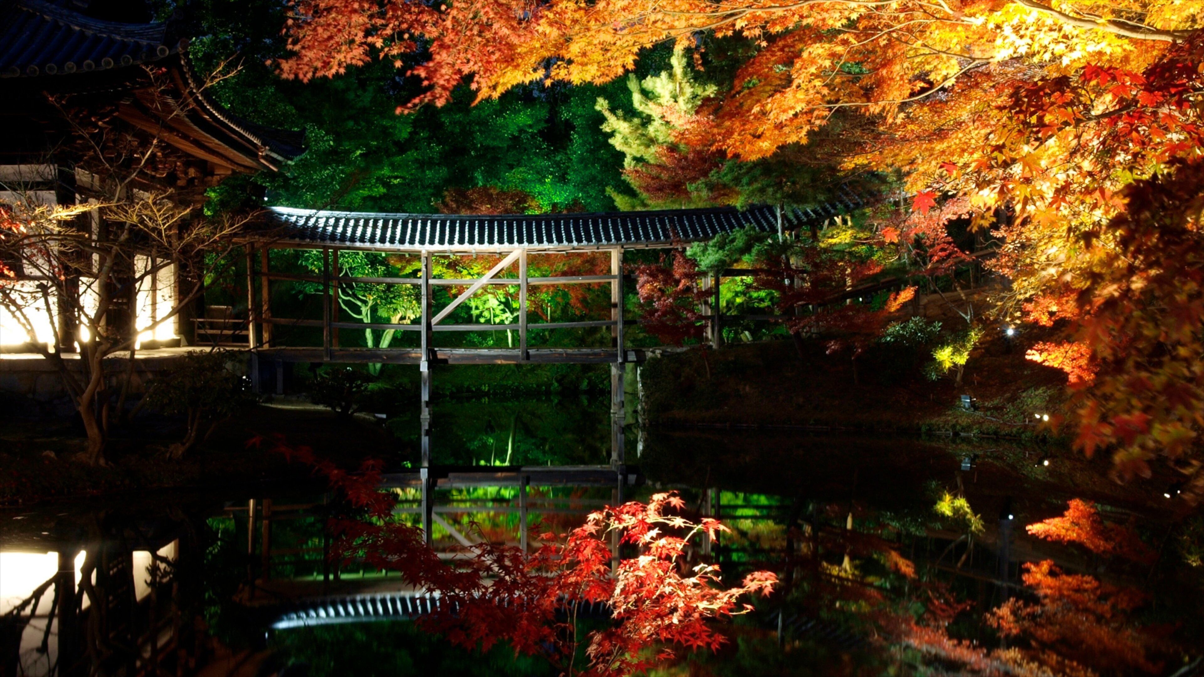 Temple Kōdai-ji montrant feuilles d\'automne, scènes de nuit et mare