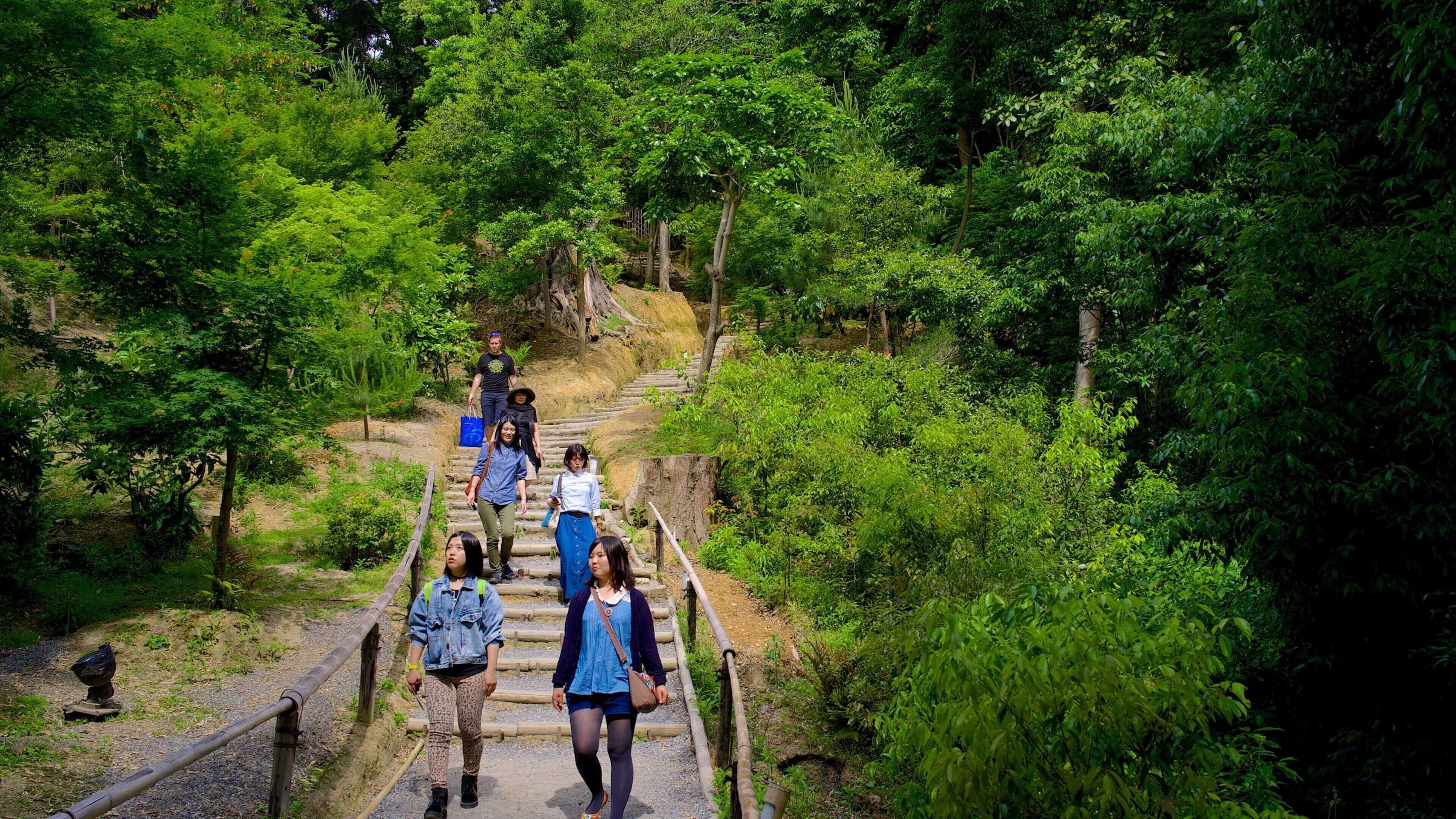 Kodaiji Temple which includes landscape views, hiking or walking and religious elements
