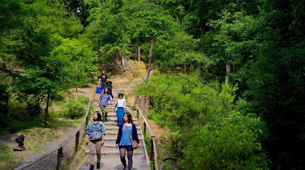 Kodaiji Temple which includes landscape views, hiking or walking and religious elements