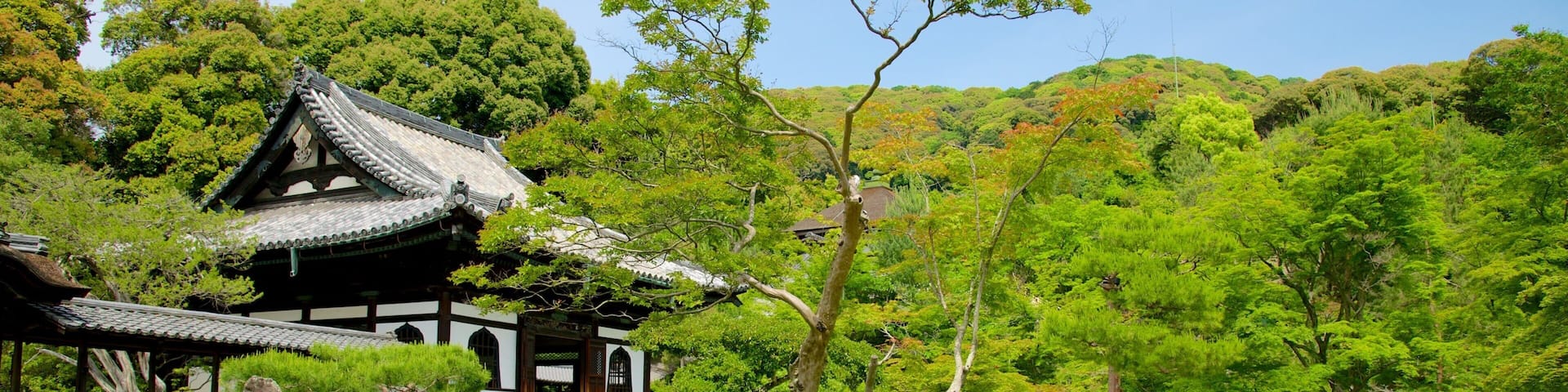 Kodaiji-Tempel welches beinhaltet Tempel oder AndachtsstÀtte, Landschaften und Park