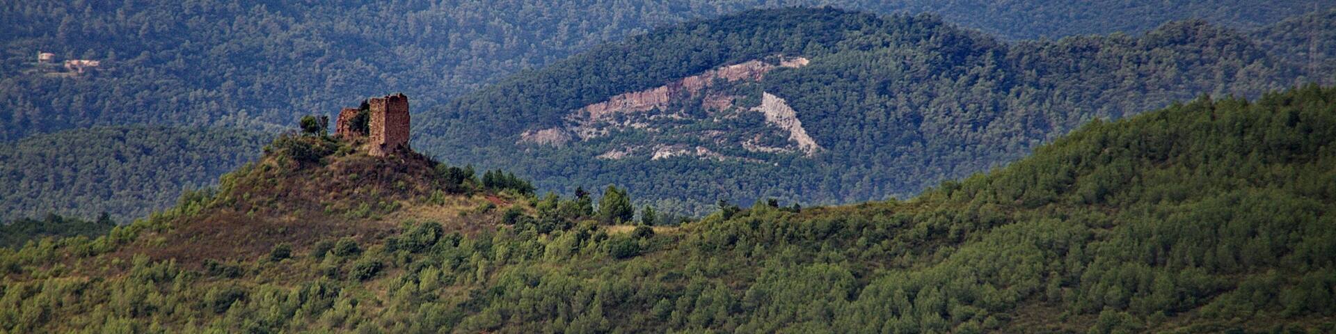 Castell de Montmany (FigarĂł-Montmany)