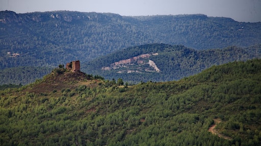 Castell de Montmany (Figaró-Montmany)