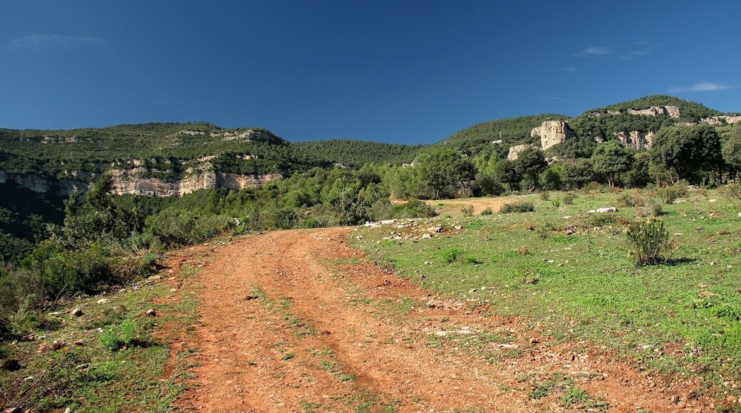 Cingles de Bertí: La Rompuda