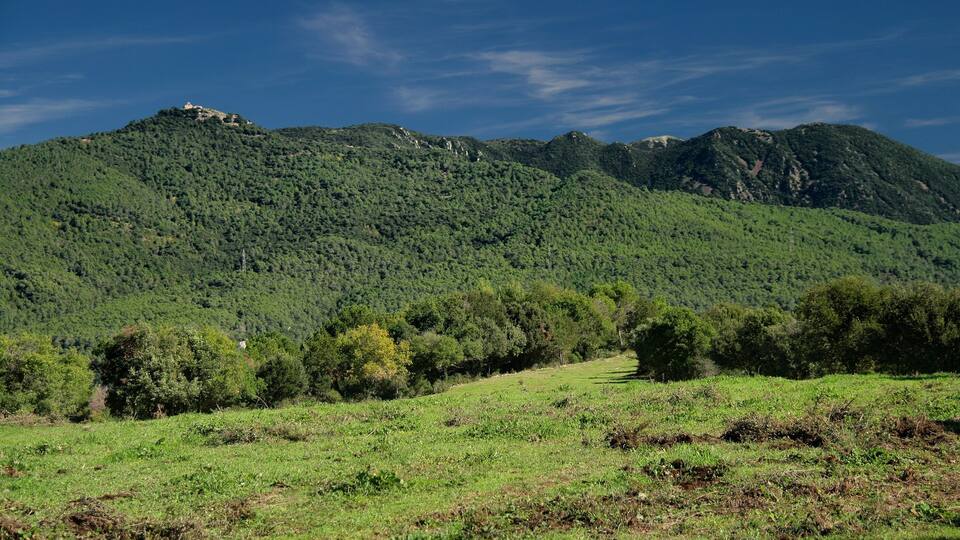 A lush green hillside with a small building on top, a clear blue sky, and a distant mountain range.
